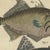 Bertuch, Triggerfish and Filefish from Tropical Reefs, 1815, Print For Sale - Image 6 of 12
