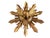 European Wooden Dove Sunburst the Holy Spirit 9.25" Diameter For Sale - Image 4 of 8