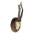German Roe Deer Antlers For Sale