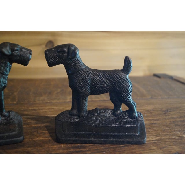 Brown Early 20th Century Airedale Terrier Bookends - A Pair For Sale - Image 8 of 8