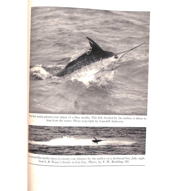 1930s "Atlantic Game Fishing" Book 1937 Farrington, S. Kip, Jr. For Sale - Image 5 of 12