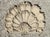Vintage Concrete Shell Wall Plaque For Sale - Image 15 of 17