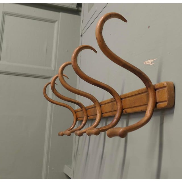 Row of 5 Large Bentwood Hat and Coat Hooks This is a good quality and very practical row of 5 Hat and Coat Hooks, there...