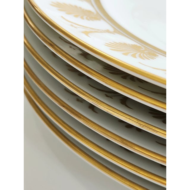 White 1940s Richard Ginori Dinner Plates in "Pompeii" Pattern- Set of 12 For Sale - Image 8 of 12