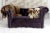 Wood Dachshund Grey Pet Bed For Sale - Image 7 of 9