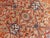 Hand Knotted Indian Rug - 9'10"x 13'10" For Sale - Image 11 of 18