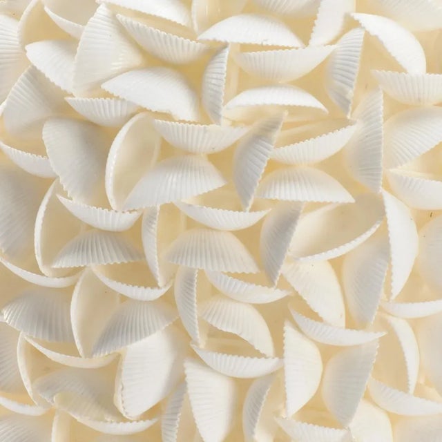 Urn constructed of individually applied arca shells. For decorative use only. No opening in top.