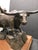 Anton Arkhipov "Longhorn" Buffalo Bronze Sculpture Hand Signed Make an Offer For Sale - Image 11 of 15