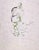 Portrait is a green ink Drawing realized by Mino Maccari (1924-1989) in 1970s. Hand-signed on the lower margin. Good...