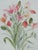 BLOOMS! Large and beautifully executed 1980s era original watercolor on paper. An expressive bouquet of fabulous fresh...