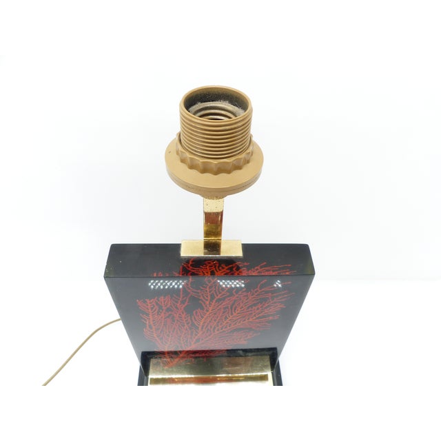 Caribbean Lamp with Red Gorgonian Inclusion from Maison Le Dauphin, France, 1970s For Sale - Image 6 of 9