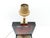 Caribbean Lamp with Red Gorgonian Inclusion from Maison Le Dauphin, France, 1970s For Sale - Image 6 of 9