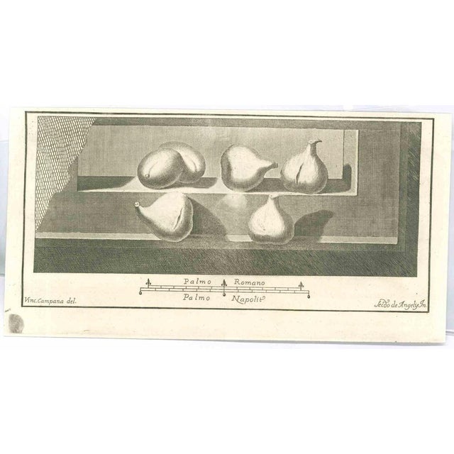 Pompeian Fresco from "Antiquities of Herculaneum" is an etching on paper realized by Vincenzo Campana in the 18th Century....