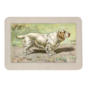 Clumber Spaniel Dog Print, 1907, Antique Dog Print, Lithograph, France