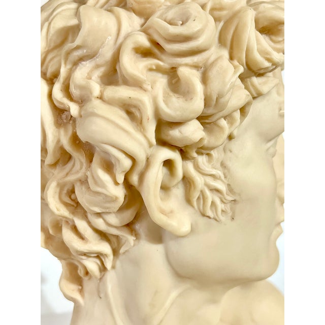 Vintage Carved Resin Grand Tour Bust of David by Michelangelo For Sale - Image 10 of 12