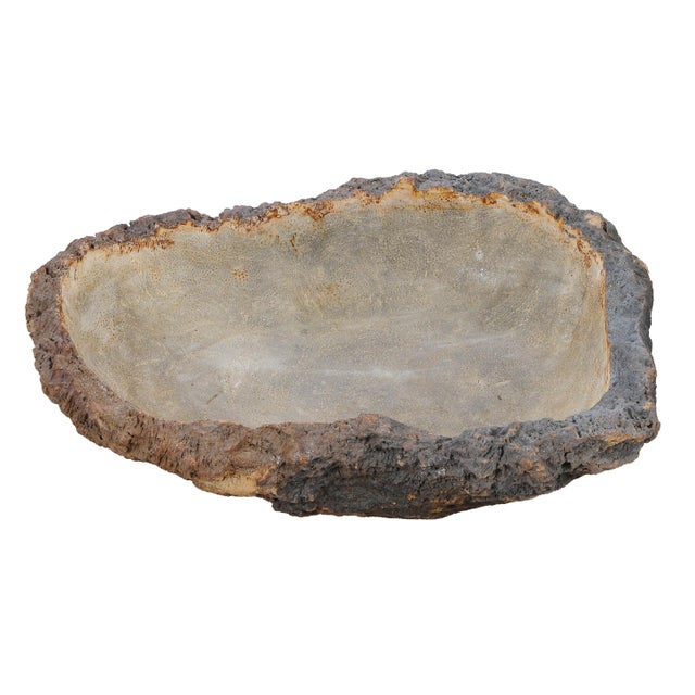 Petrified Coral Bowl by Xyleia Petrified Wood For Sale - Image 4 of 7
