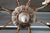1940s Italian Rococo Revival Painted Wood & Gilt Wrought Iron 8-Light Chandelier For Sale - Image 12 of 18