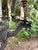 Gothic Early 20th Century Large Gothic Revival / Spanish Revival Hand-Worked Iron Chandeliers For Sale - Image 3 of 6