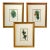 Trio of 19th Century Framed Louis Van Houtte Botanical Chromolithographs For Sale