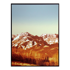 1980s Scott Nellis "Mountain Meadow Iii" Signed & Numbered Serigraph Aspen Trees