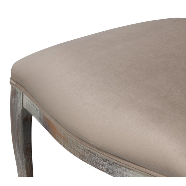 Louis XV Cane Back Dining Chairs in Gray with Taupe Seats, Sets of 2 For Sale In Raleigh - Image 6 of 11
