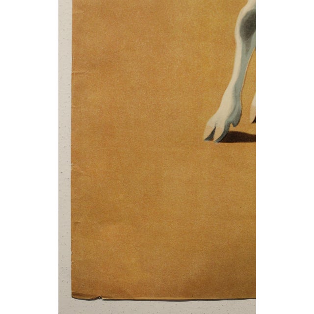 1940 Swiss Advertisement Poster, Toggenburger Biscuits, Hans Thoni (Men With Cows) For Sale - Image 4 of 5