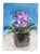 Contemporary Impressionist Small Still Life Painting For Sale