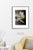 Fine art Giclee prints on Hahnemuhle Photo Rag 308gsm - a 100% cotton, acid-free, mould-made paper. Printed to Fine Art...