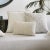 Contemporary Zebra Ivory Cushion from Lo Decor For Sale - Image 3 of 4