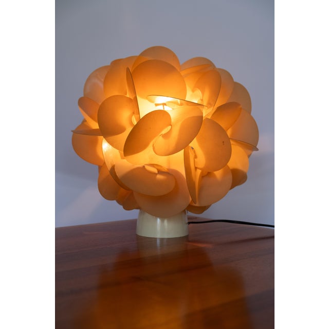 Orange Rose des Sables Lamp by Raoul Raba, 1960s For Sale - Image 8 of 8