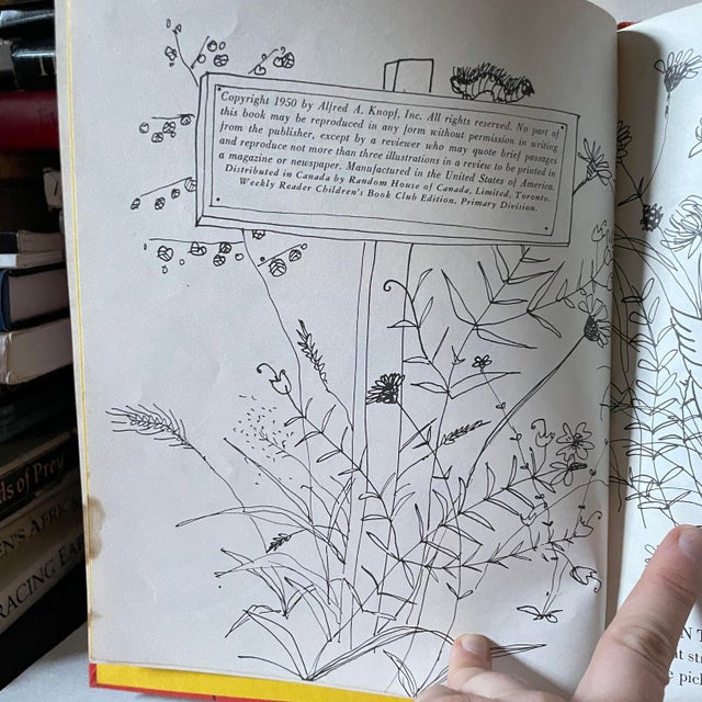 Paper 1950s “Petunia” Children’s Book by Roger Duvoisin, 1st Edition For Sale - Image 7 of 7