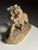 Armand Fagotto, Lion, Terracotta For Sale - Image 18 of 18