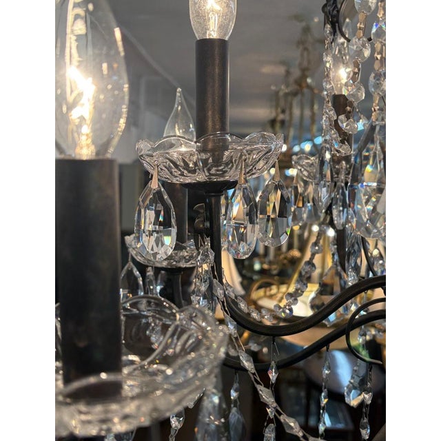 Metal Schonbek 17124-76 Century 12 Light Black Frame Crystal Chandelier For Sale - Image 7 of 10