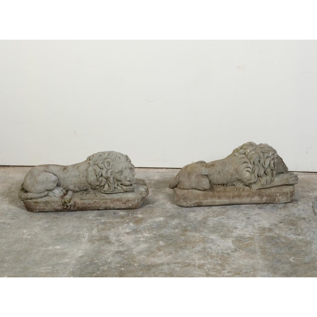 Early 20th Century Pair of English 1920s Cast Stone Reclining Lion Sculptures on Conforming Bases For Sale - Image 5 of 10