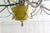 A charming 1940s painted tole or metal six arm hot air balloon chandelier. The chandelier is primarily painted white with...