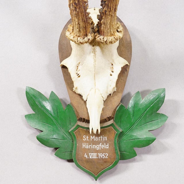Great Black Forest Red Deer Trophy on Carved Plaque - Germany 1952 For Sale - Image 6 of 6