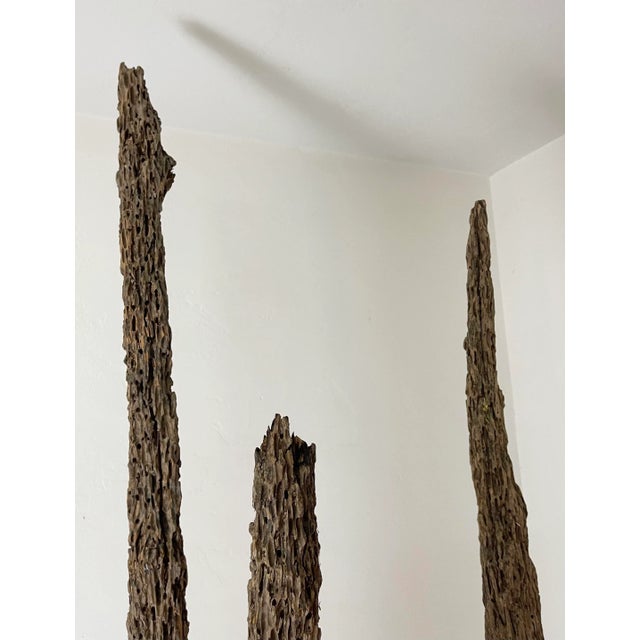 Brown 1920s French Sculptural Forms - Set of 3 For Sale - Image 8 of 13