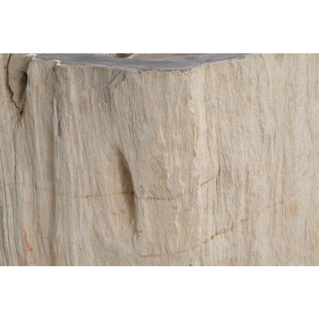 Glass Freestanding Petrified Wood Water Basin by Xyleia Petrified Wood For Sale - Image 7 of 8