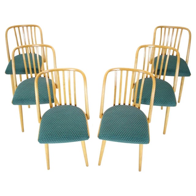 Dining Chairs by Antonin Suman, Czechoslovakia, 1960s, Set of 6 For Sale - Image 6 of 11