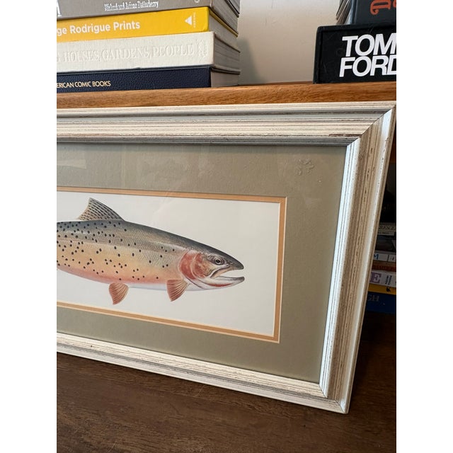 Vintage Framed Trout Fish Prints Cabin Coastal Wall Art - A Pair For Sale - Image 9 of 11