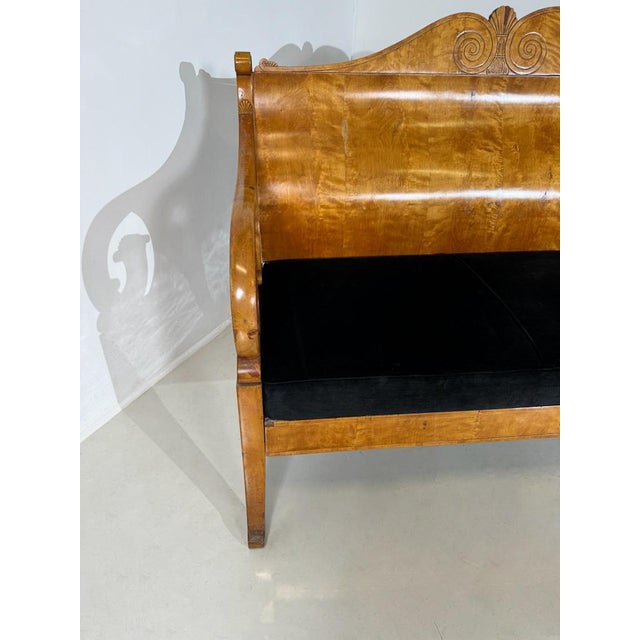 Bench in Birch Veneer, Russia, Early 19th Century For Sale - Image 9 of 13