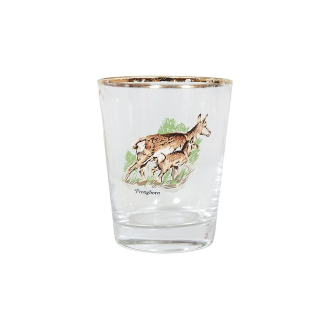 Mid 20th Century Mid 20th Century American Wildlife Glass Tumblers - Set of 4 For Sale - Image 5 of 6