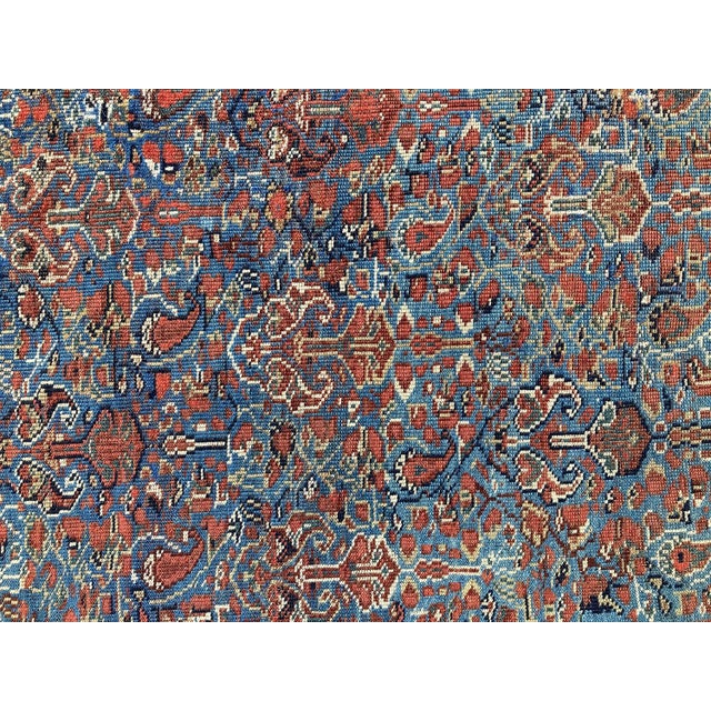 Afshar Wool Rug, 1890s For Sale - Image 13 of 17