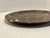 1970s Rare Stone Fossil Plate Orthoceras Sea Shell Polished Brown Ammonite For Sale - Image 4 of 7