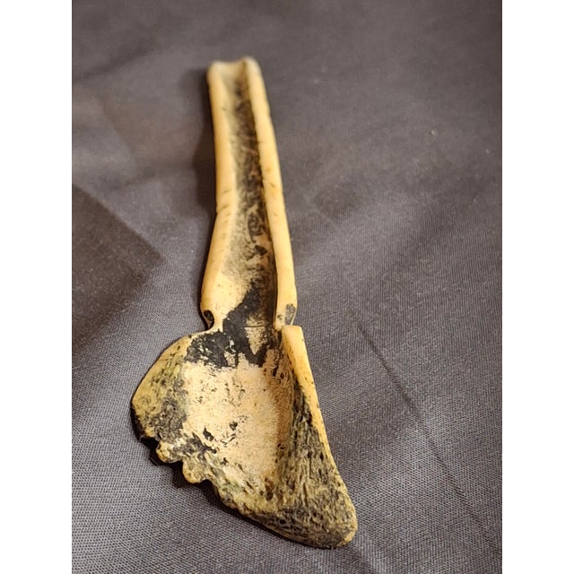 Rare 19thC Moroccan Judaica Camel Bone Inkwell Set - Star of David - Original Pen For Sale - Image 13 of 18