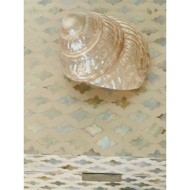 1960s Large Mother of Pearl Inlaid Box With Sea Shell For Sale - Image 4 of 4