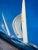 Gorgeous, oversized original acrylic on canvas by Gabriel Duarte paintig “Celebrity” sailboats Regatta. Signed on the...