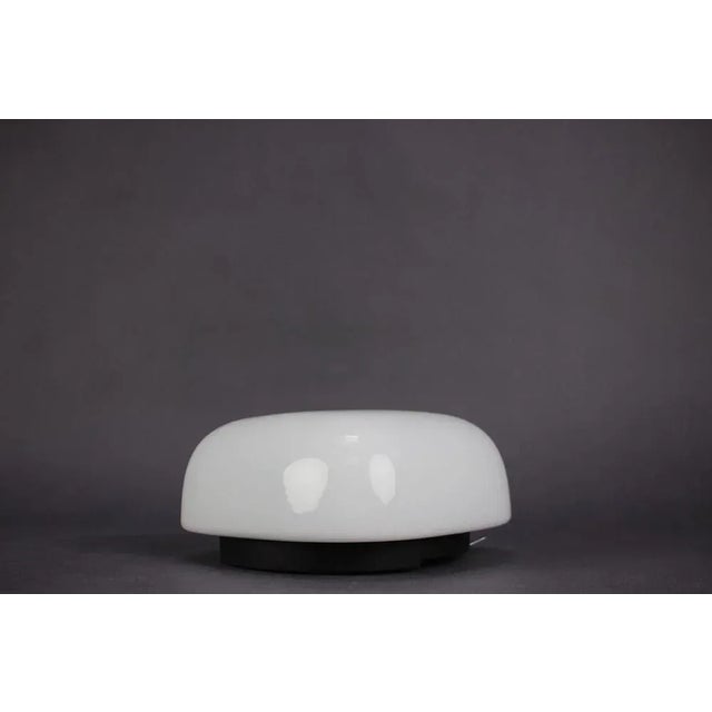 Mid-Century Modern Wall Light, Czechoslovakia, 1960s For Sale - Image 3 of 11