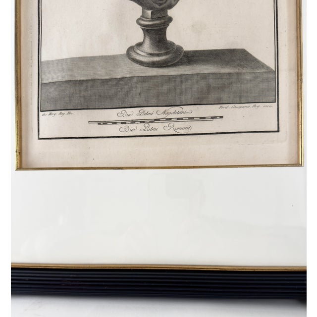 Wood Pair of 18th Century Italian Bust Engravings (Antique Etchings) - Neoclassical Grand Tour Copperplate Prints by Casanova & Campana, Framed For Sale - Image 7 of 11
