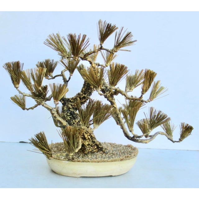 Art Brut Brass wire formed Bonsai Pine Tree. Welded and soldered twisted trunk and limbs of an ancient tree in a Bonsai...